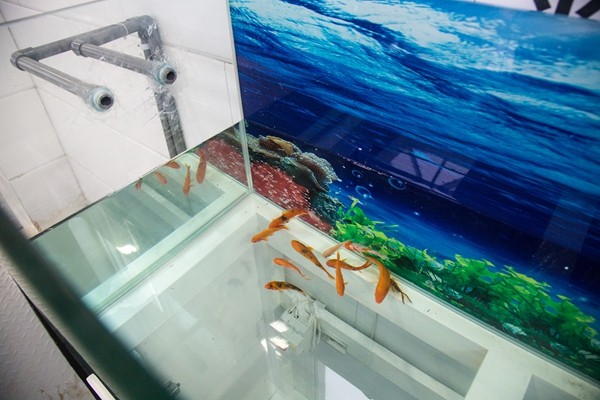 一年可省出一座500万方的水库 ——AG庄闲集团中水再生利用项目投运