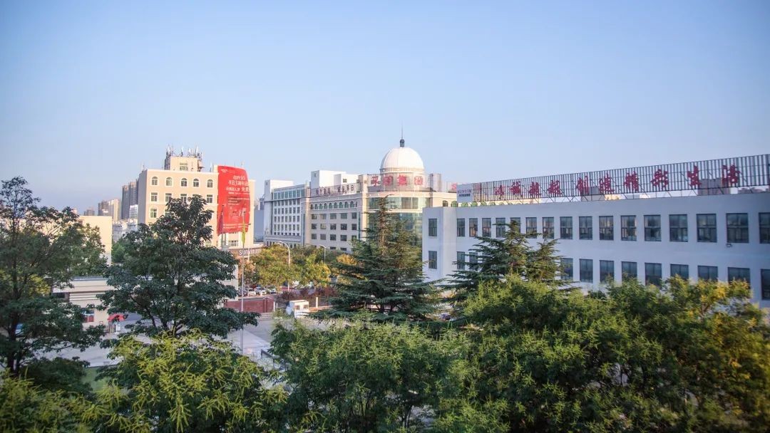 新华财经：AG庄闲为山东外贸“逆风而上”写下生动注脚