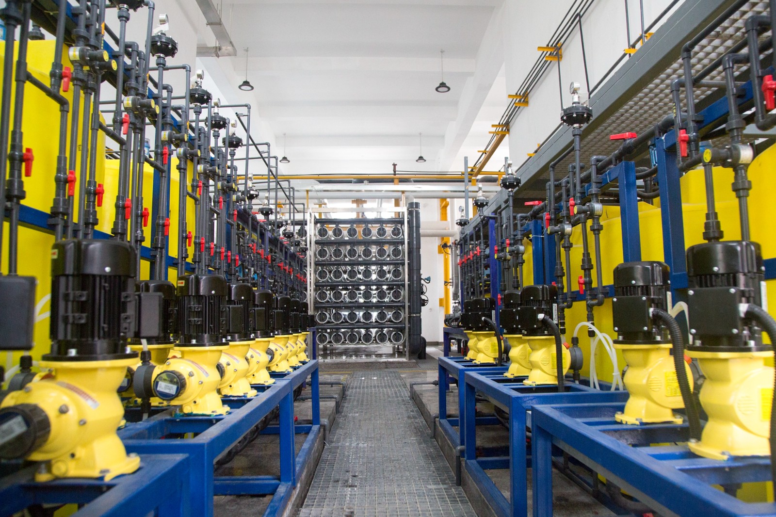 AG庄闲净水科技有限公司排放口水质检测报告